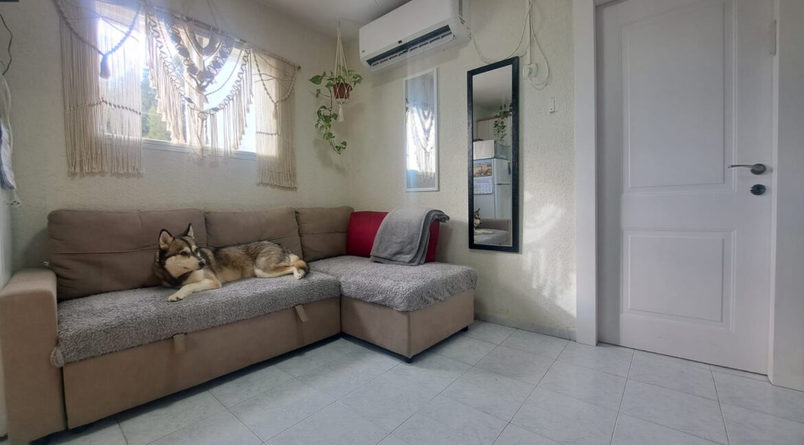 WhatsApp Image 2025-03-22 at 19.36.56 (1)