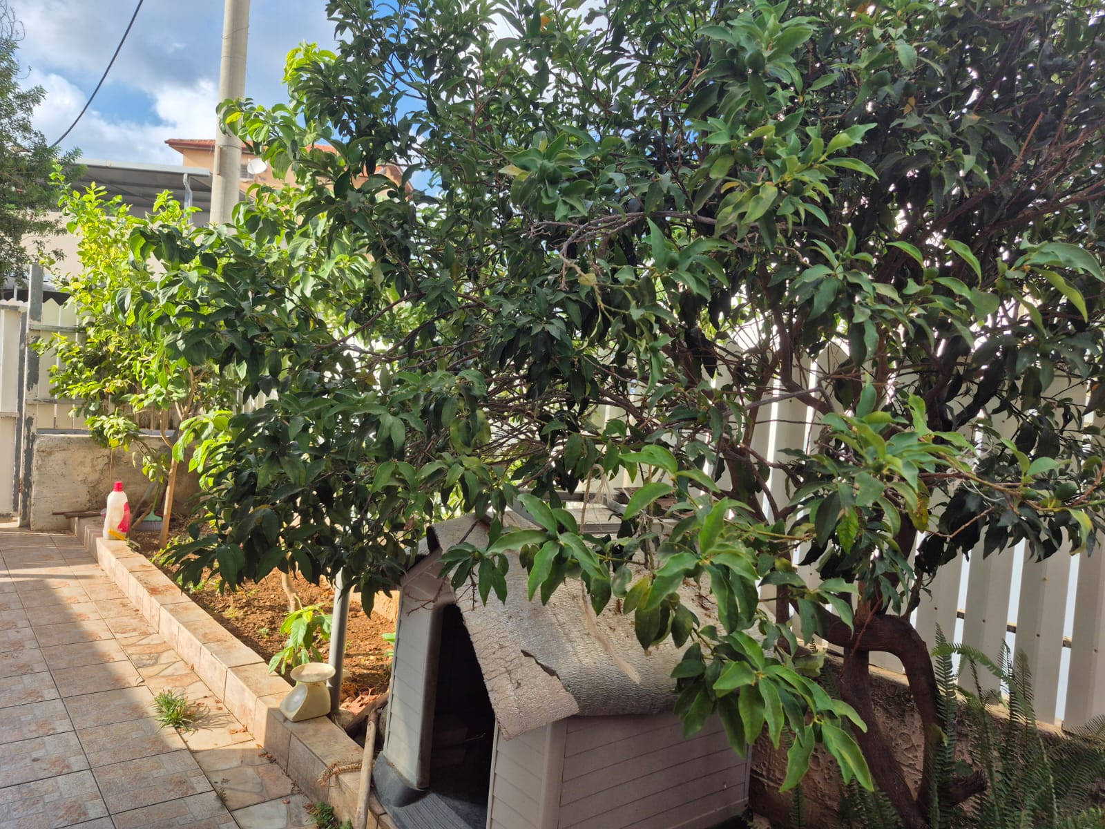 בבלעדיות דופלקס עם גינה ברחוב רמב”ם 18 בנהריה