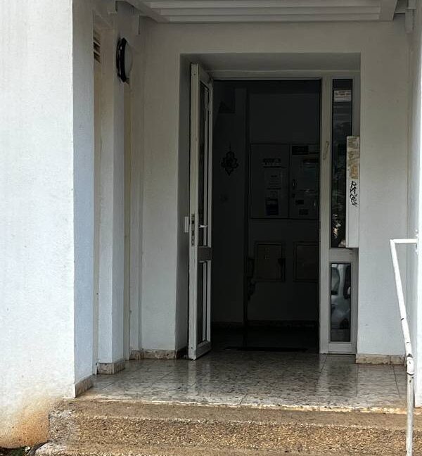 IMG_5199 - איל ציון