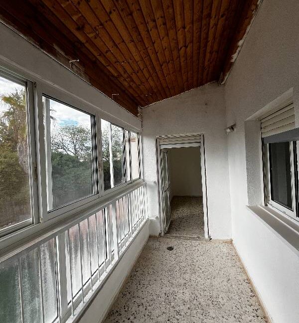 IMG_5208 - איל ציון