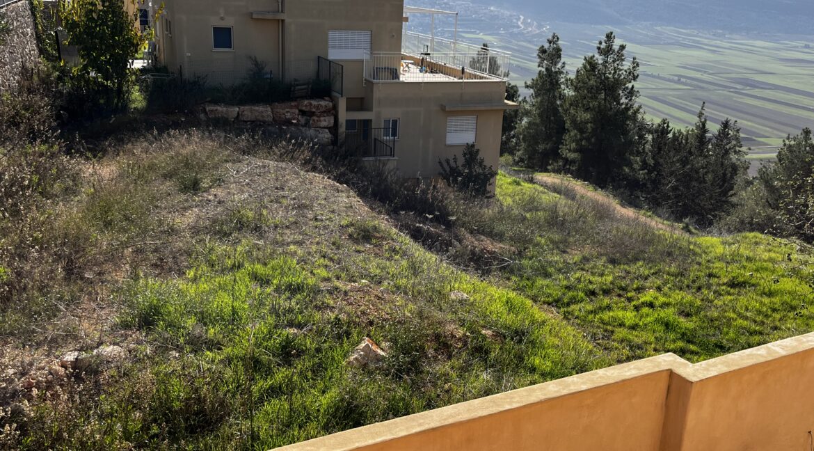 IMG_5398 - איל ציון